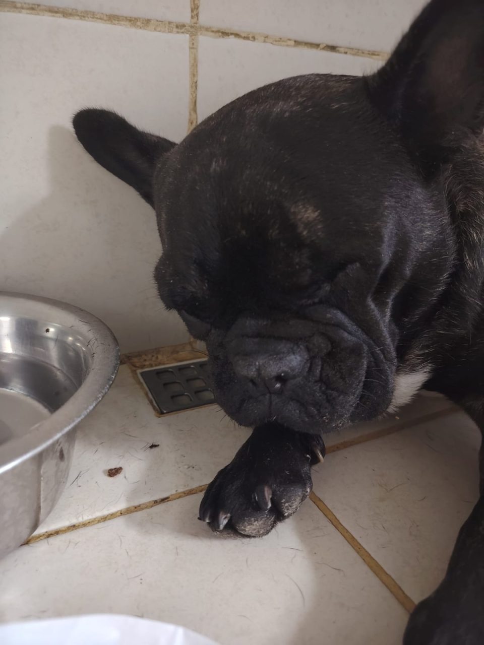 Foto